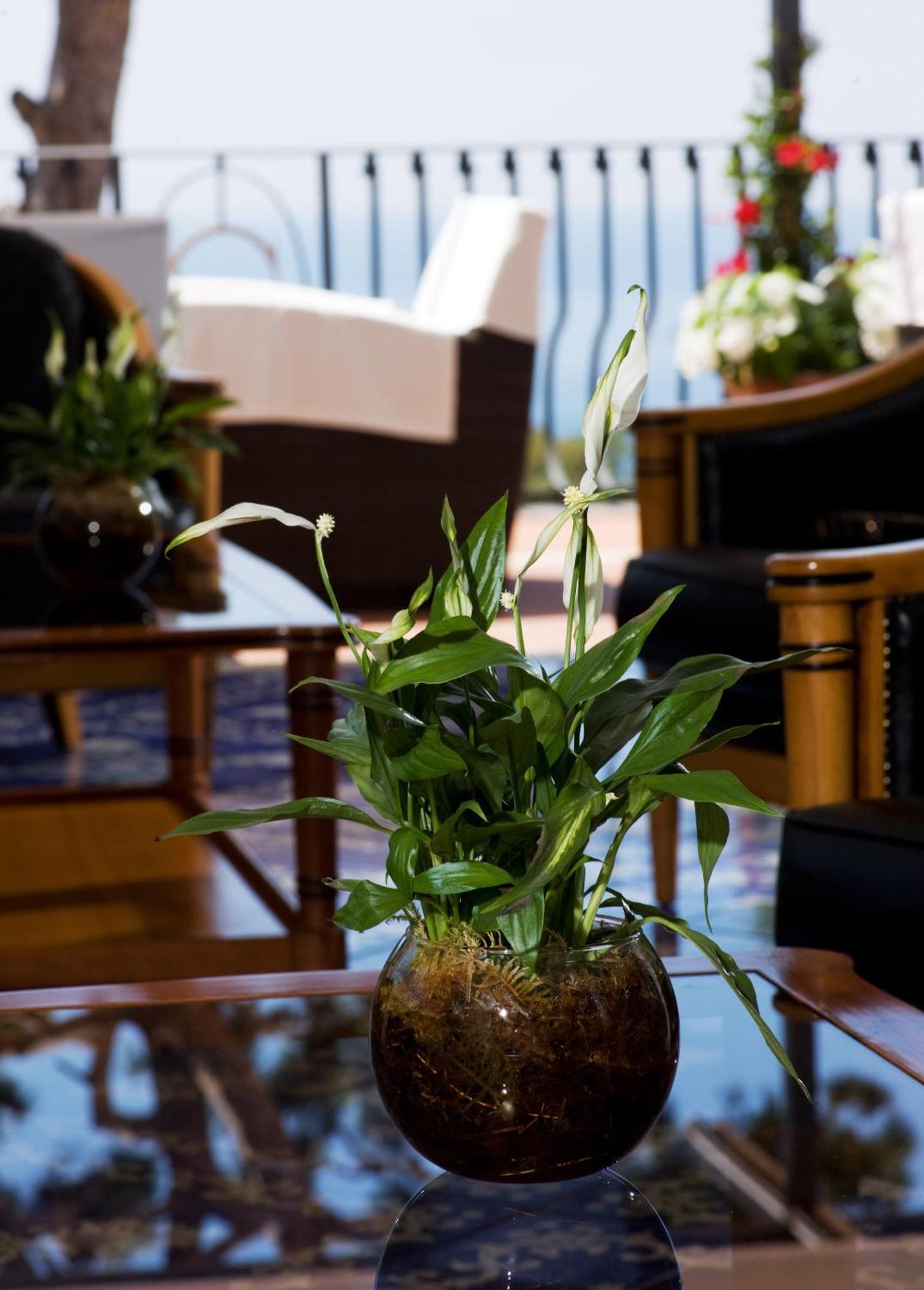 Casa Morgano Hotel กาปรี ภายนอก รูปภาพ